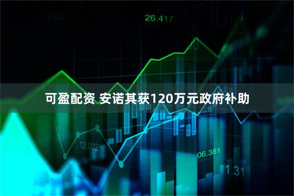 可盈配资 安诺其获120万元政府补助