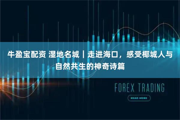 牛盈宝配资 湿地名城｜走进海口，感受椰城人与自然共生的神奇诗篇